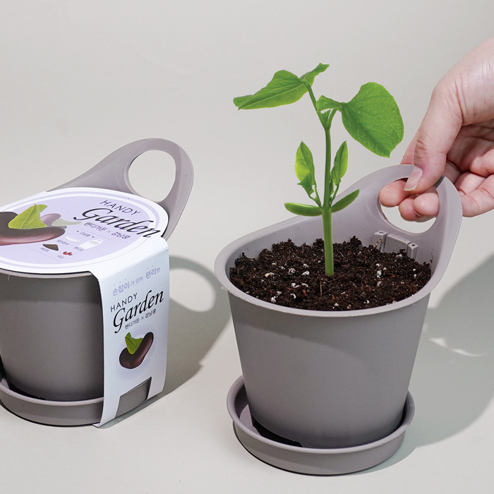 �ڵ𰡵�-������