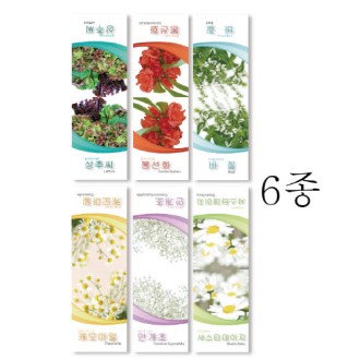 ������ ����