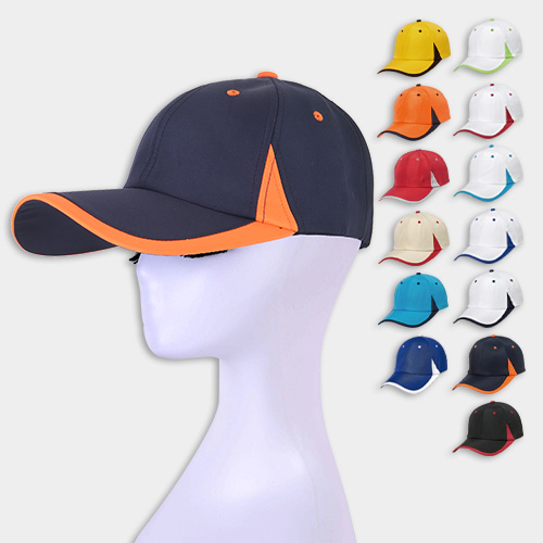 ������ ��� �߱� ����, ���� ���� ��ü ��� 