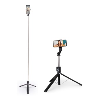 �������� 1.7m �շ� ��ī�� ���� ����